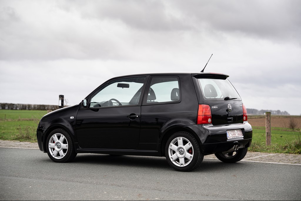 lupo_13.jpg