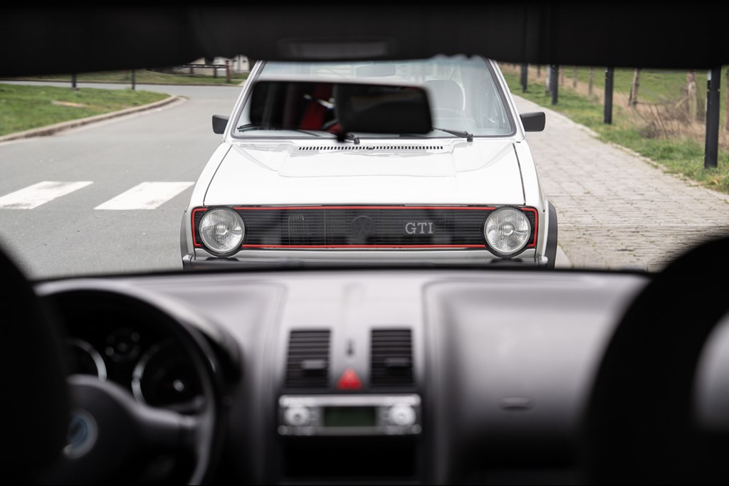 lupo_38.jpg