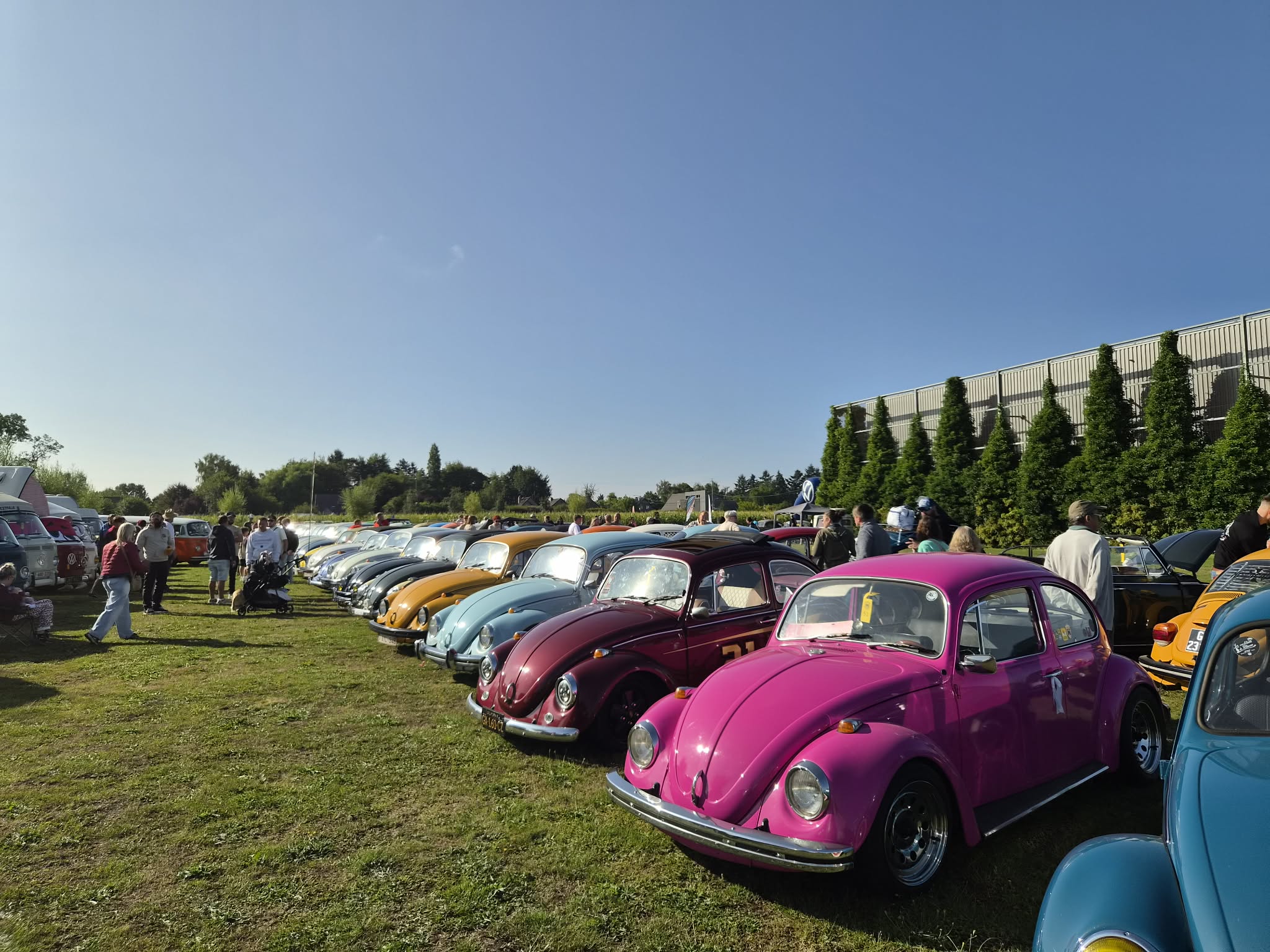 Plus de 260 Volkswagen et le plein de passion au Coxa Nostra !